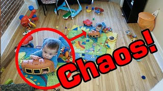 O que faz um bebé em 4 horas…?