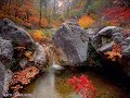 Vivaldi, Autumn