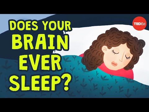 TED-Ed. Can you be awake and asleep at the same time? (Ar galite būti budrus ir miegoti vienu metu?)