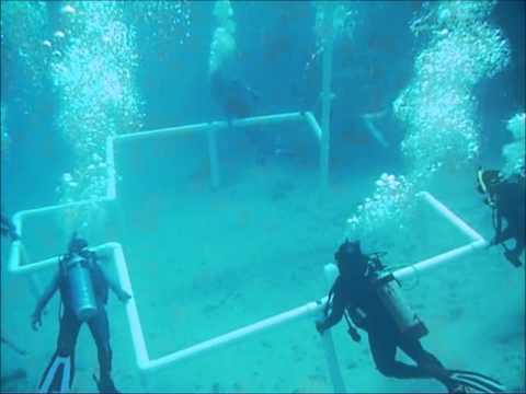 غواصون يبنون مسجدا تحت الماء  غواصون يبنون مسجدا تحت الماء