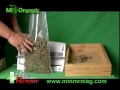 Harvesting Medical Marijuana 2 Drying & Curing .mpg