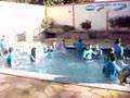 Churrasco ADM65 piscina!!