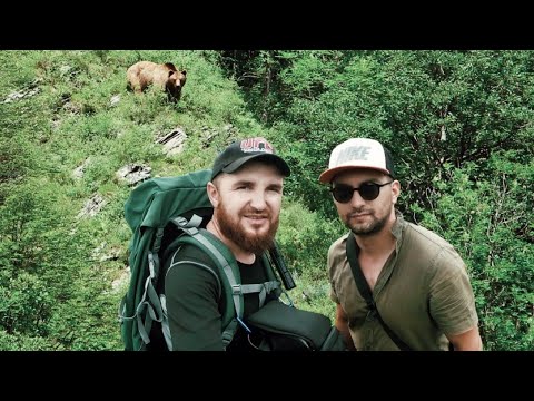 Наткнулись на огромного медведя в горах Чечни