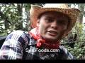 Solo Ranger Brownie