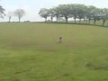 
un videito mas de una pe