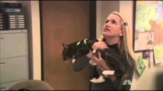 The Office S05e14 Save Bandit Youtube