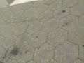 Baltimore cops V.S. skateboarder