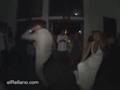 El Baile de los novios - Videos Chistosos