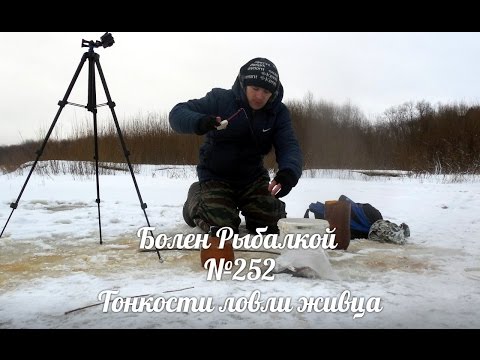 ловля щуки на бамбулу видео ловля щуки на бамбулу видео