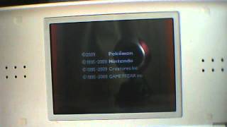 Platinum - Hundenahrung
