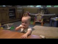 Funny Baby animal sounds