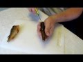 Victorinox Swibo Filleting Knives - How To: Snapper - BCF 