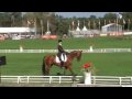 Championnats d'Europe concours complet Dressage Nicolas Touzaint Championnats d'Europe concours complet Dressage Nicolas Touzaint