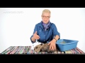 Why Are So Many Rabbits in Shelters? | Pet Rabbits
