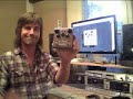 Strymon El Capistan delay pedal demo- By Pete Thorn