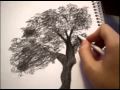 Рисуем дерево пристым карандашом