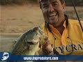 Señuelos - Lucky Craft -- Flat CB DR