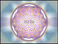 The Miracle of 528 Hz Solfeggio and Fibonacci numbers