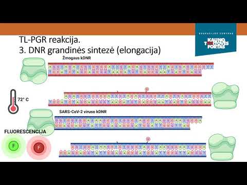 Kauno tvirtovės VII fortas. Vaizdo pamoka „COVID-19 diagnostika“