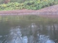 Humptulips Salmon Fishing