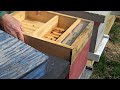 FatBeeMan - Noseema Treatment for Honey Bees