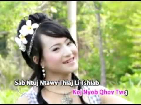 Paj Zaub Thoj - Nco Koj Dhau