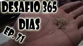 Desafio 365 Dias EP.71 - 07/06 ao 10/06 - Agora eu vou speak Inglês.