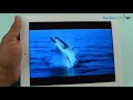 iPad 4 Review with WiFi + Cellular and Retina Display