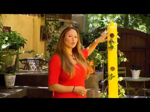 The Garden Gurus - Shirley's Vertical Gardens