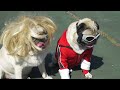 VIDEO, LETRA Y TRADUCCION VIDEO, LETRA Y TRADUCCION