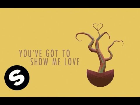 Sam Feldt - Show Me Love (ft. Kimberly Anne) [Official Lyric V