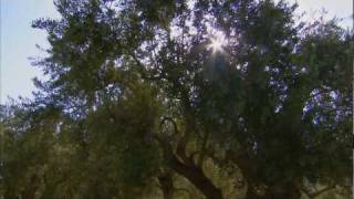 Israel In You – TV commercial #2