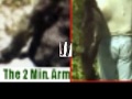 Quick look at the Patterson Bigfoot