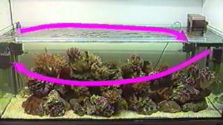 pompe brassage aquarium eau de mer 