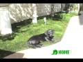 Hometurf-Synthetic Grass Lawns San Diego