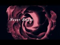 VIDEO, LETRA Y TRADUCCION VIDEO, LETRA Y TRADUCCION