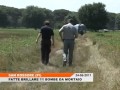 24.6.2011 – Ritrovamento nella Tenuta di San Rossore di ordigni bellici della Seconda Guerra Mondiale