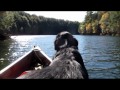 Gheenoe with 4hp outboard motor : update