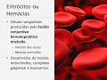 O Sangue Humano