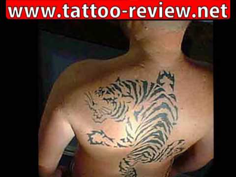 Tiger Tattoo Designs TattooDesignz 23049 views 3 years ago 