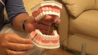 Как правильно чистить зубы. Видеоурок №3