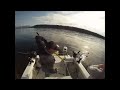 Powell River Saltwater Salmon Fishing