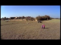 miniature