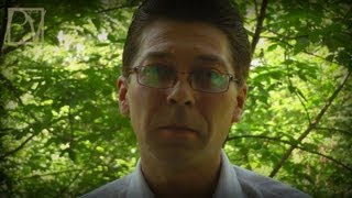 Главе РЖД дачнику Владимиру Якунину. тревожное посвящение