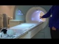 What is an MRI scan?