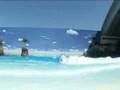 The Wave of the Future – Wavepools