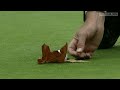 Lee Westwood gets leaf ruling at World Challenge