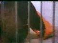 TV commercial film for American Tourister Luggage 1970