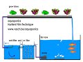 Aquaponics NFT system