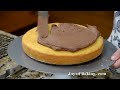 Yellow Butter Cake Recipe Demonstration - Joyofbaking.com